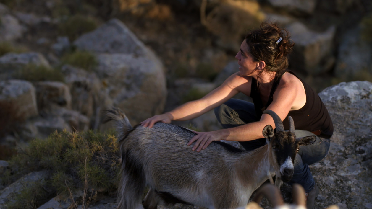Letizia Giuntini, la part du rêve, Jean Froment Letizia Giuntini, la part du rêve, Jean Froment