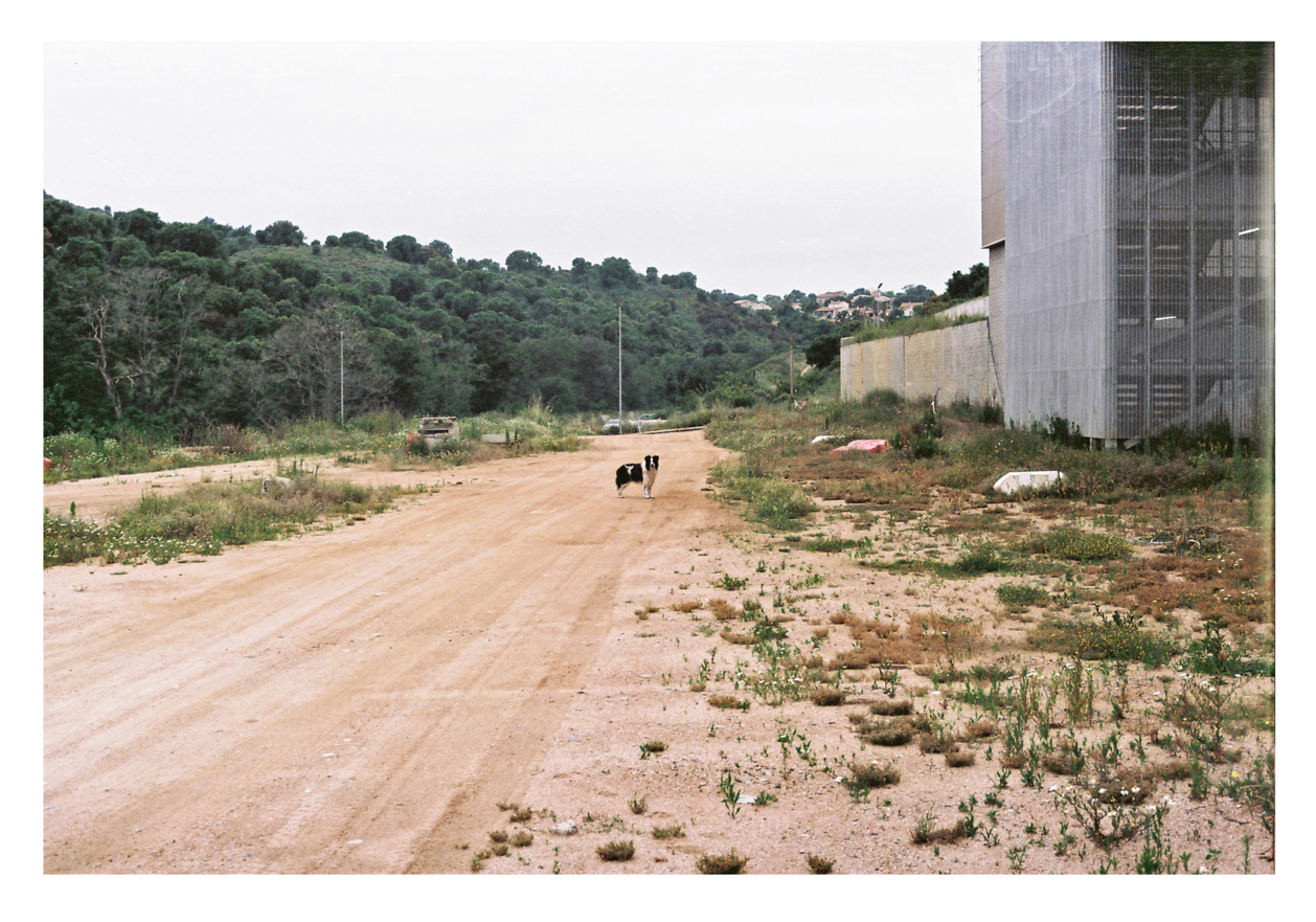 Yoann Giovannoni, photographier pour comprendre