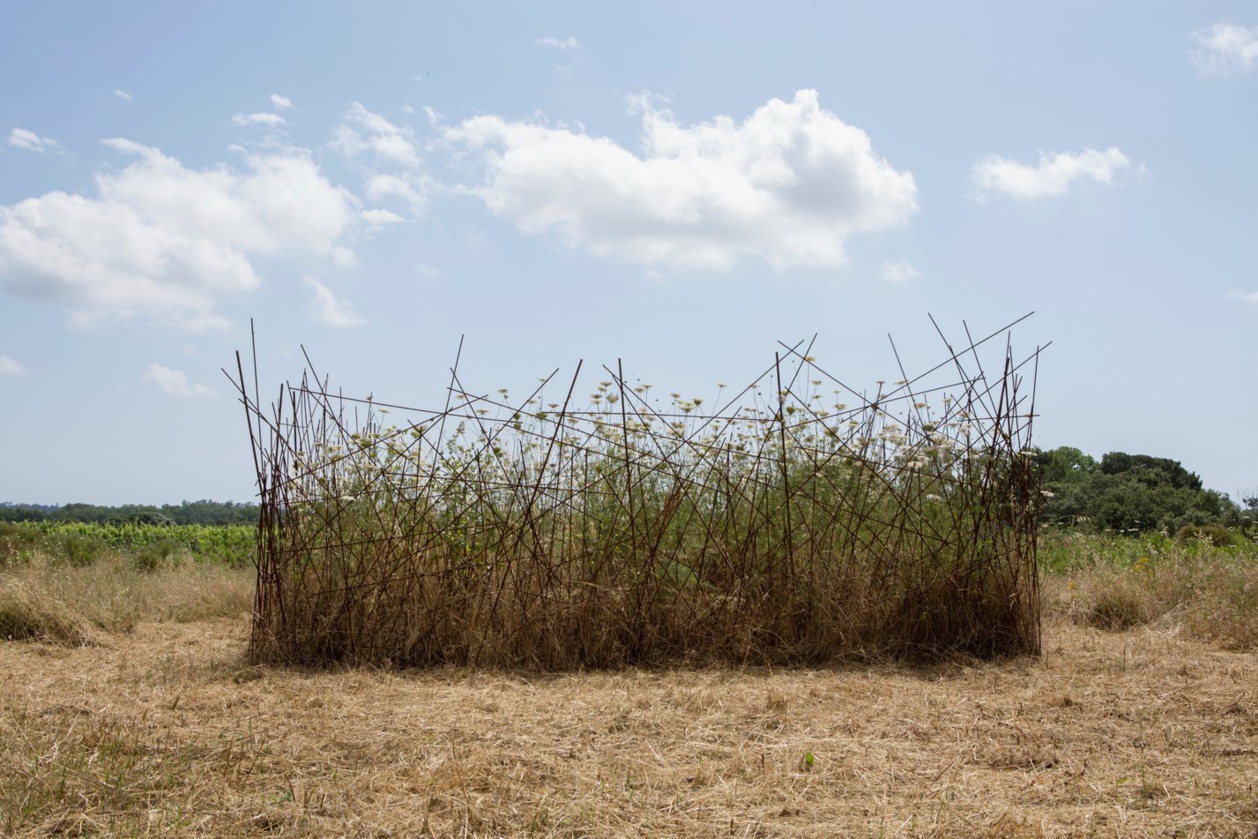 Utimu Regnu, Jean-Joseph Albertini (photo Lea Eouzan) Utimu Regnu, Jean-Joseph Albertini (photo Lea Eouzan)