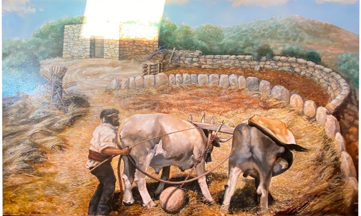 Tribbiera, José Tomasi Tribbiera, José Tomasi