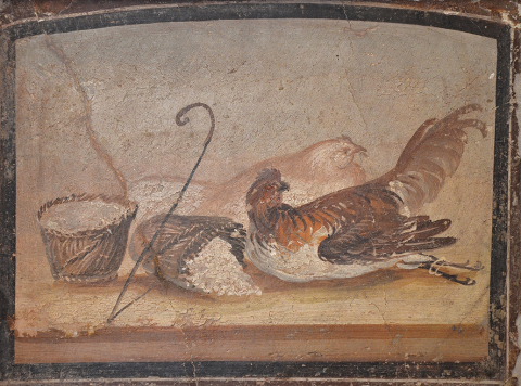 Peinture murale de Pompéi (temple d’Isis ?) avec des faisselles en vannerie emplies de fromage frais et des poulets.