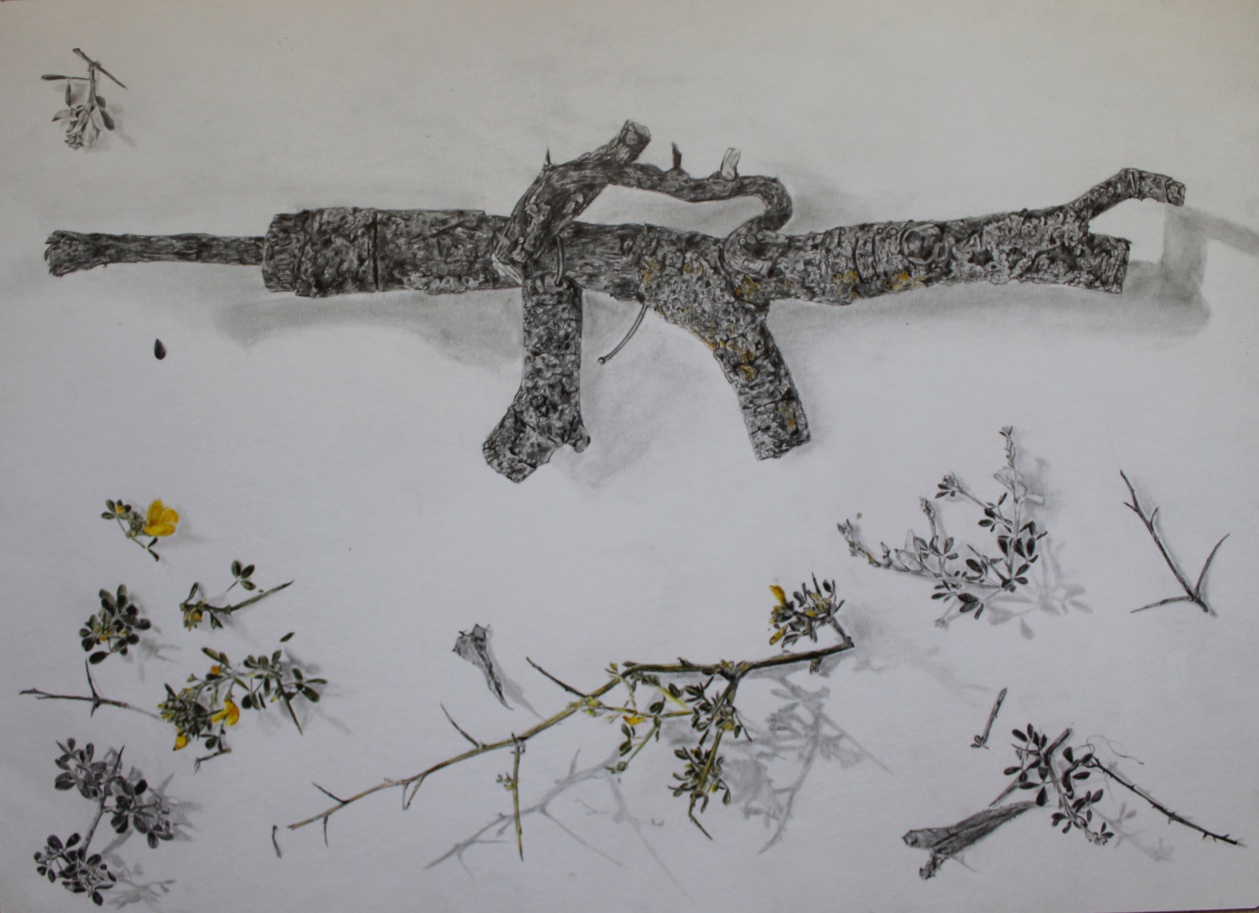 Agnès Accorsi, Armes branches, 2021