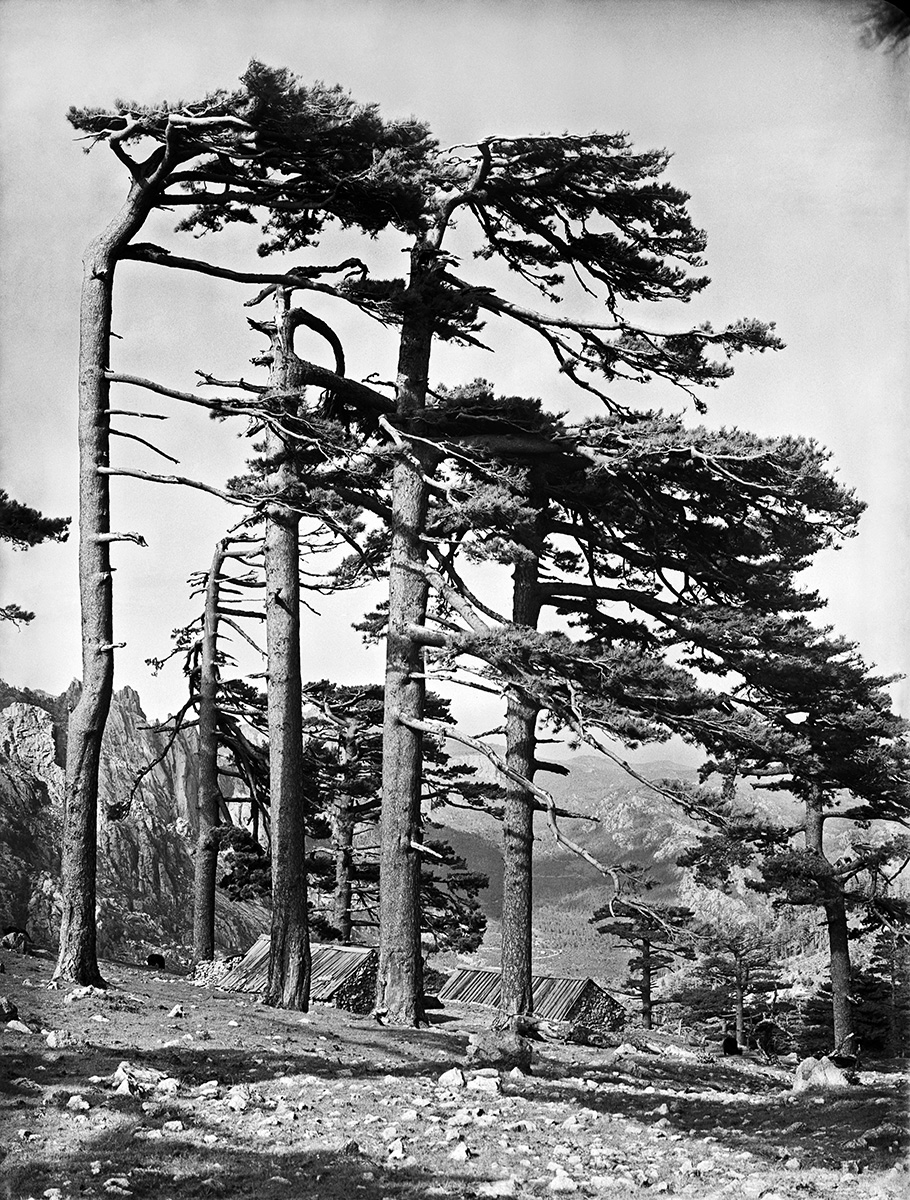 Imre Kertesz in Corsica, 1933