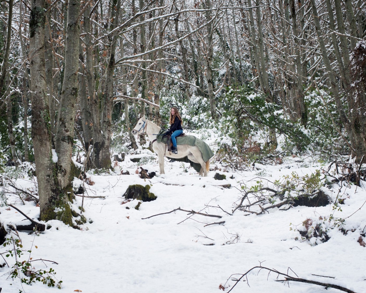 Stoppia Nova, Lola Reboud, janvier 2017 Stoppia Nova, Lola Reboud, janvier 2017
