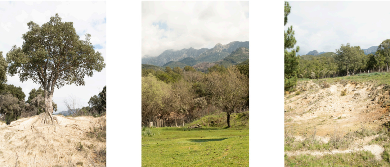 Elsa Mollinard-Pollini, Peri, 2023 Elsa Mollinard-Pollini, Peri, 2023