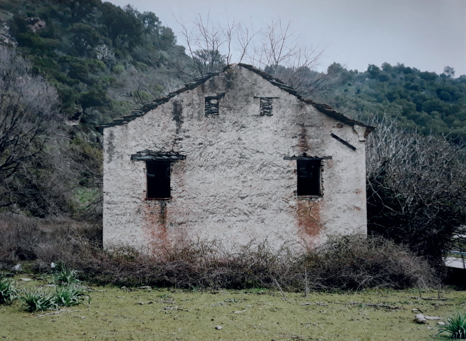 Lea Eouzan, Lacrime, 2015