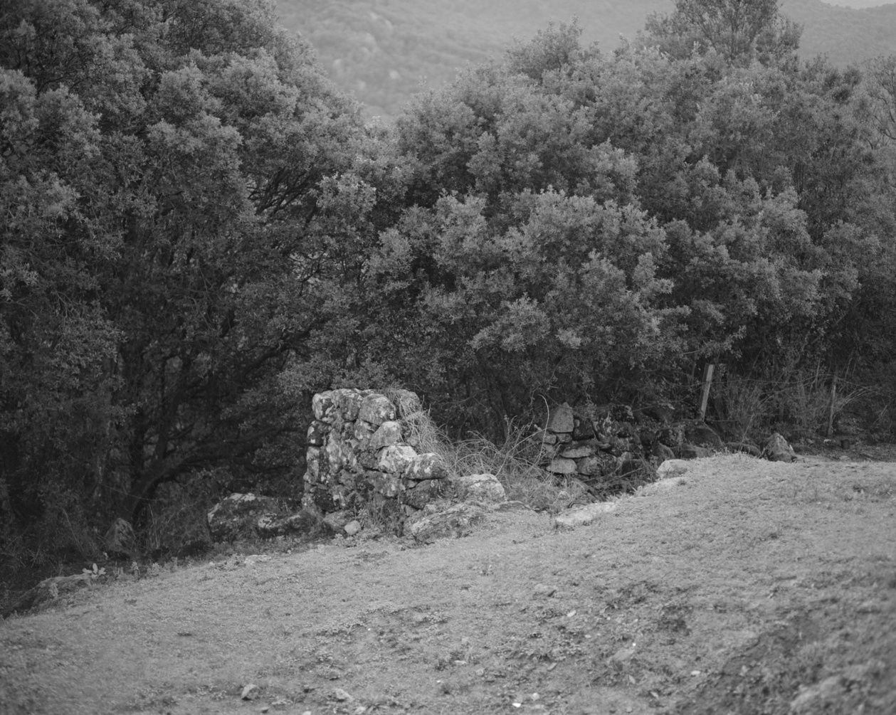 Forconceddu, 2023 © Yan Leandri U Scoddu Forconceddu, 2023 © Yan Leandri U Scoddu