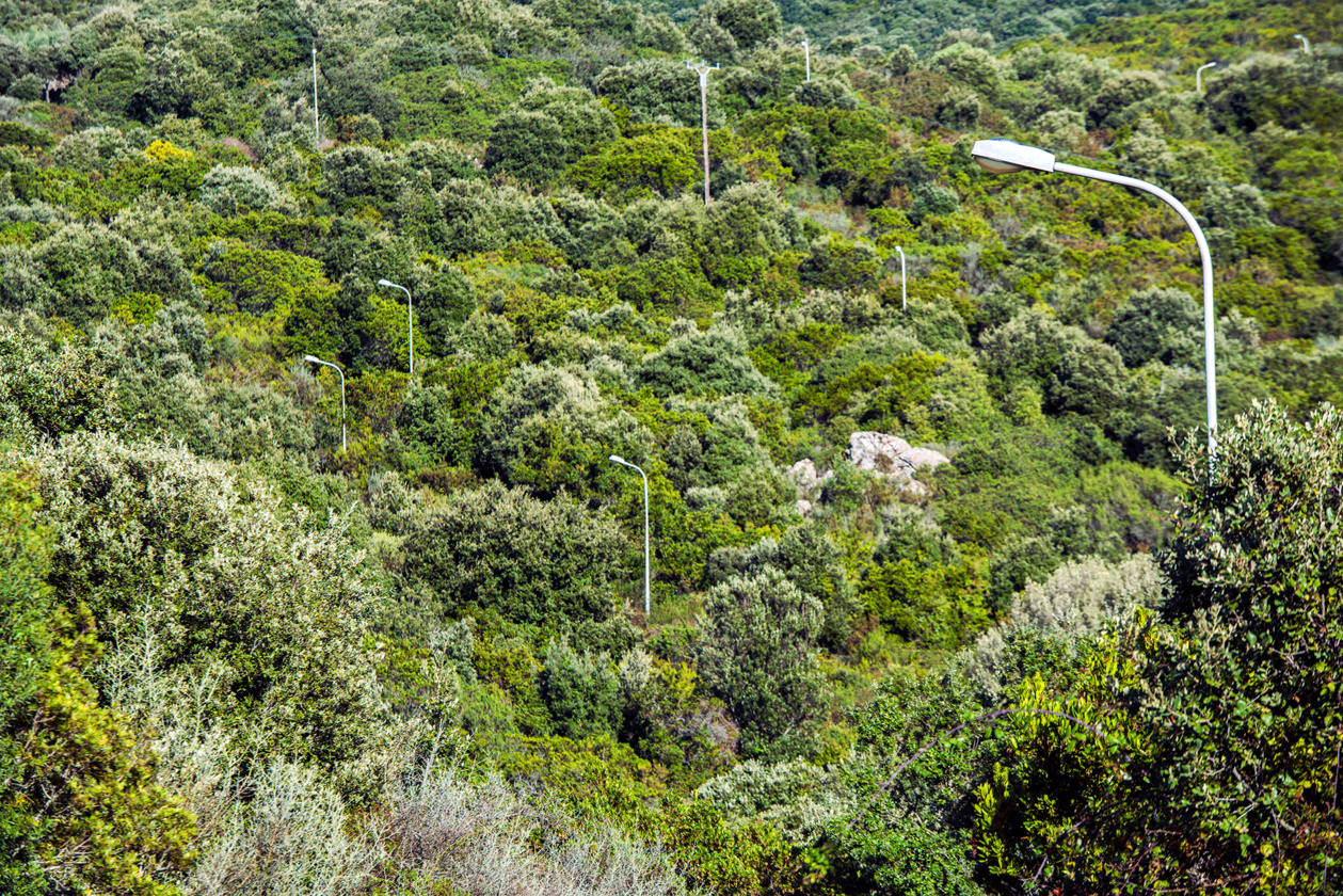 La Bande à Mobiüs, Jean Froment et Laetitia Carlotti, Arterra Corsica