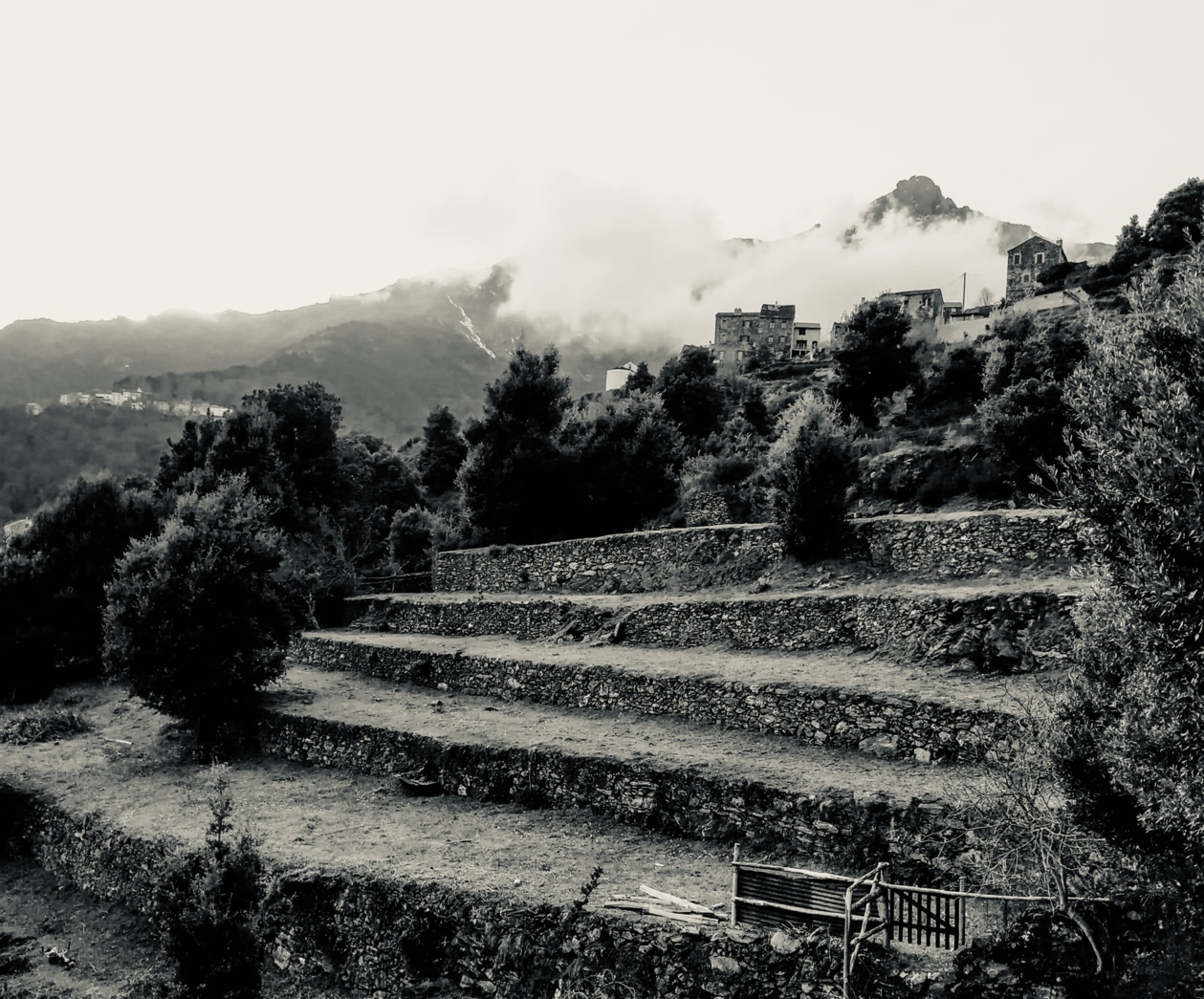 Orte di a Verdese Orte di a Verdese