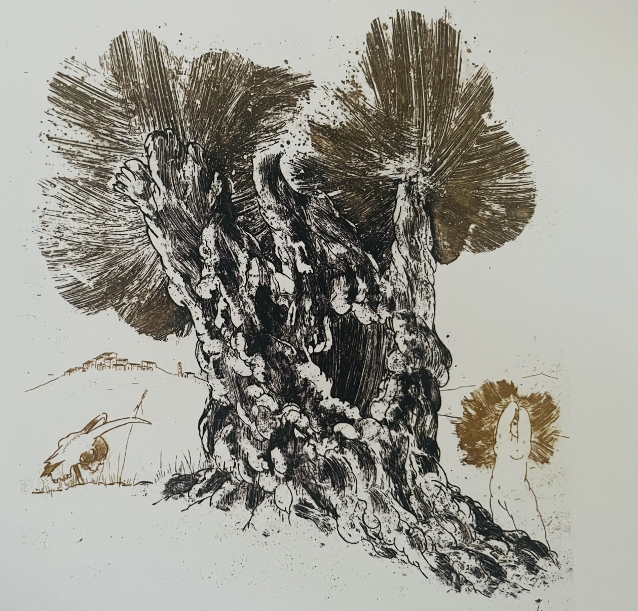 Tonì Casalonga Tonì Casalonga