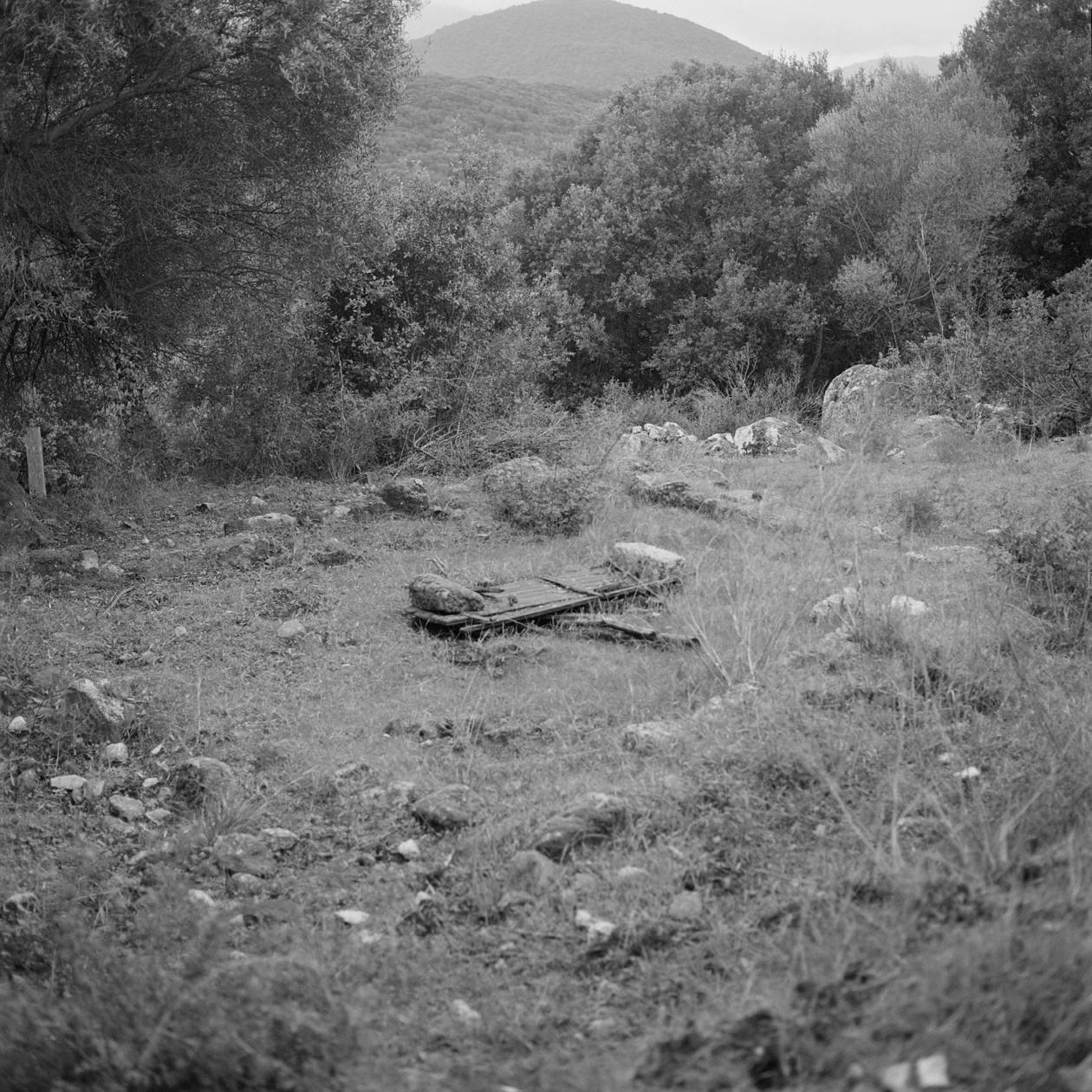 Yan Leandri Yan Leandri