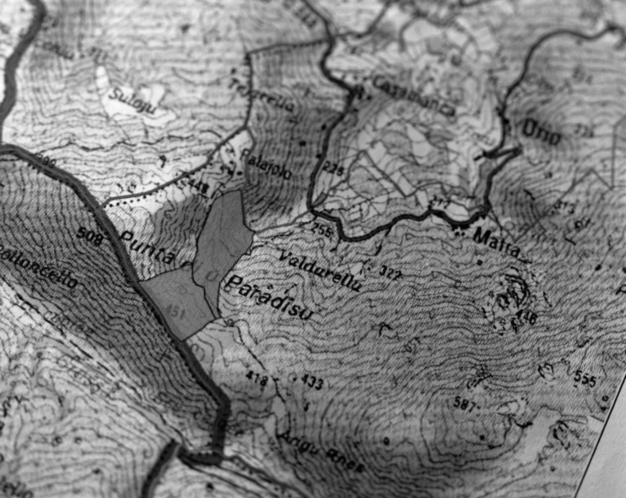 Yan Leandri Yan Leandri