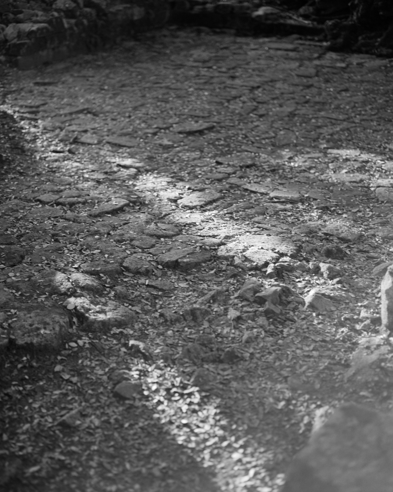 Yan Leandri Yan Leandri