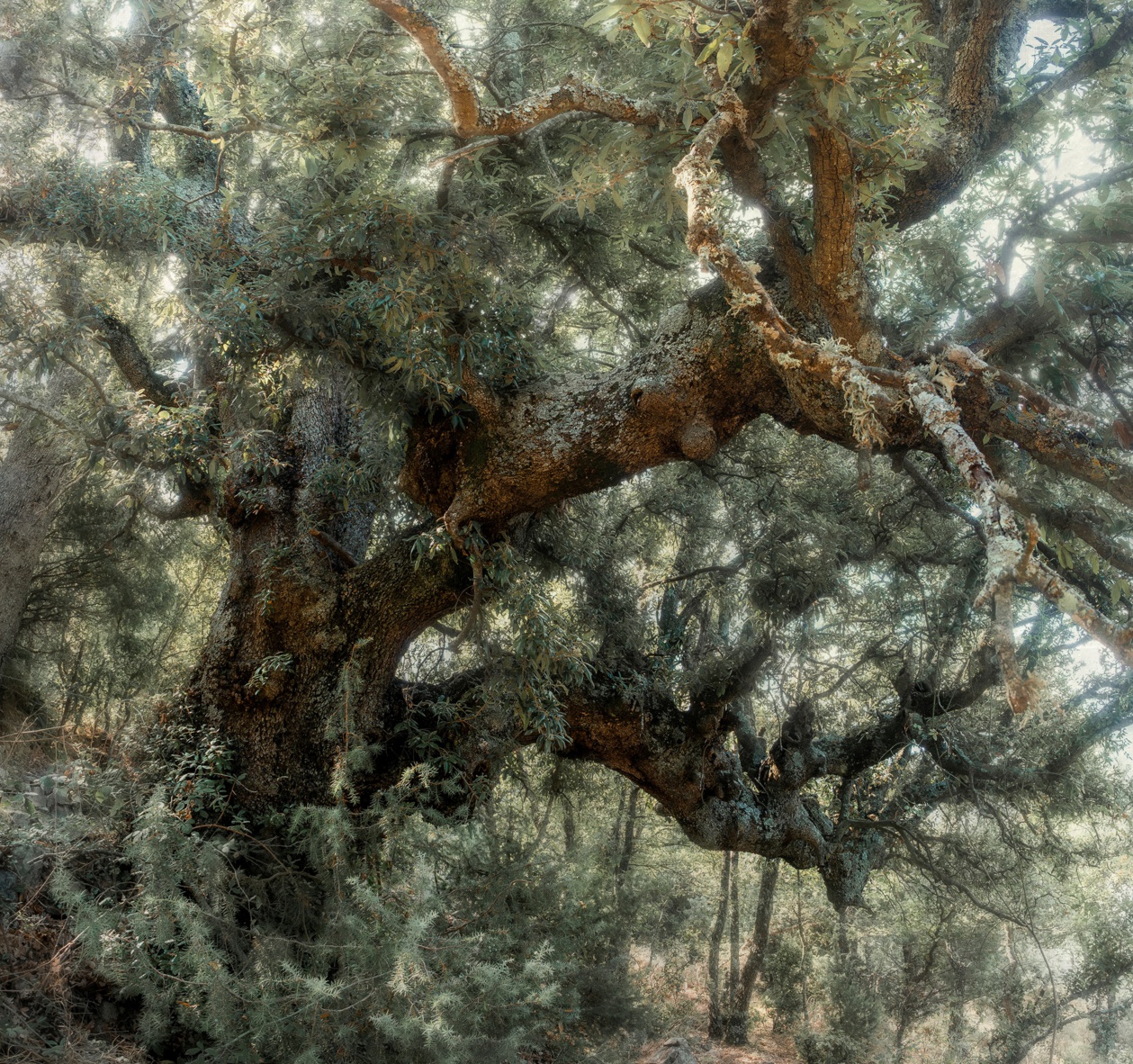 Photo Geneviève Michon Photo Geneviève Michon