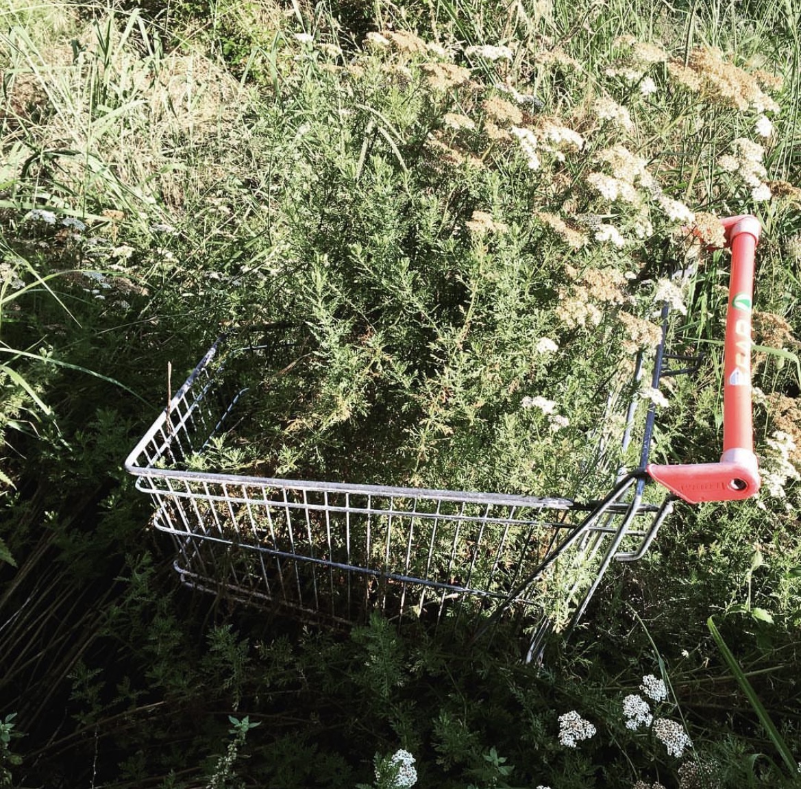 Pour une approche écologique de l’alimentation