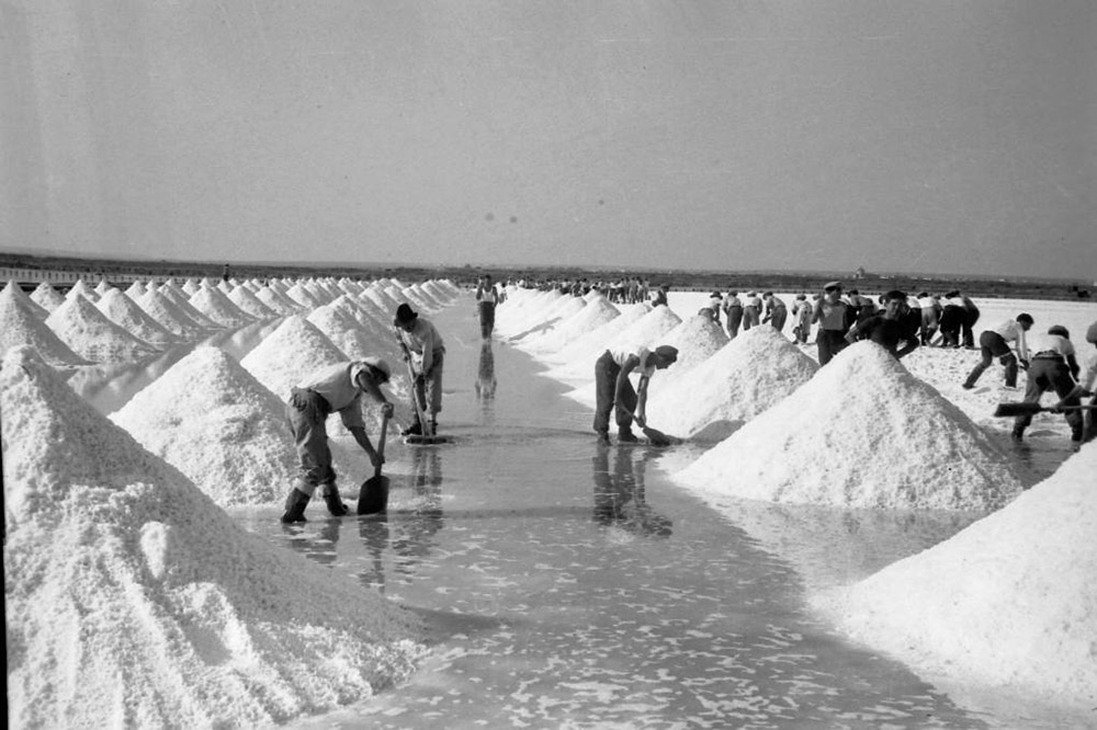 Salina di Margherita di Savoia, Puglia Salina di Margherita di Savoia, Puglia