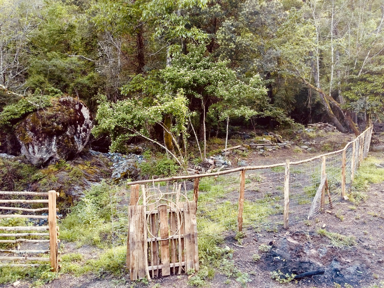 Orte di a Verdese Orte di a Verdese