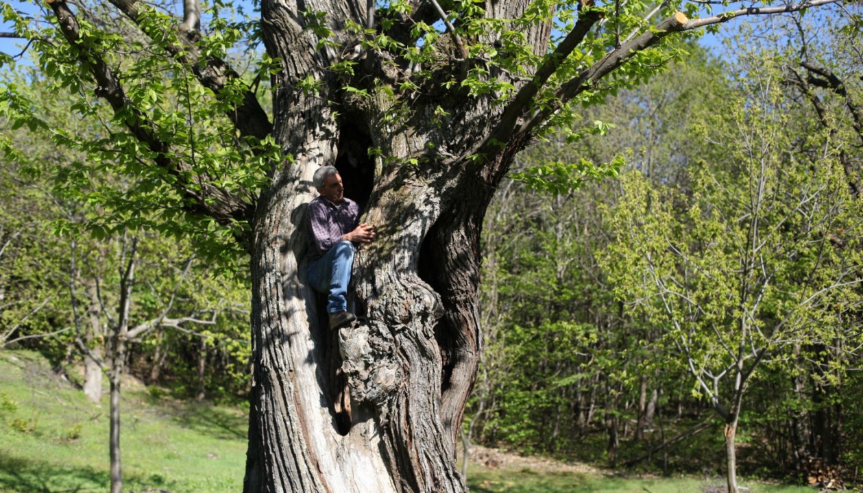 Foto Sandro Bozzolo Foto Sandro Bozzolo