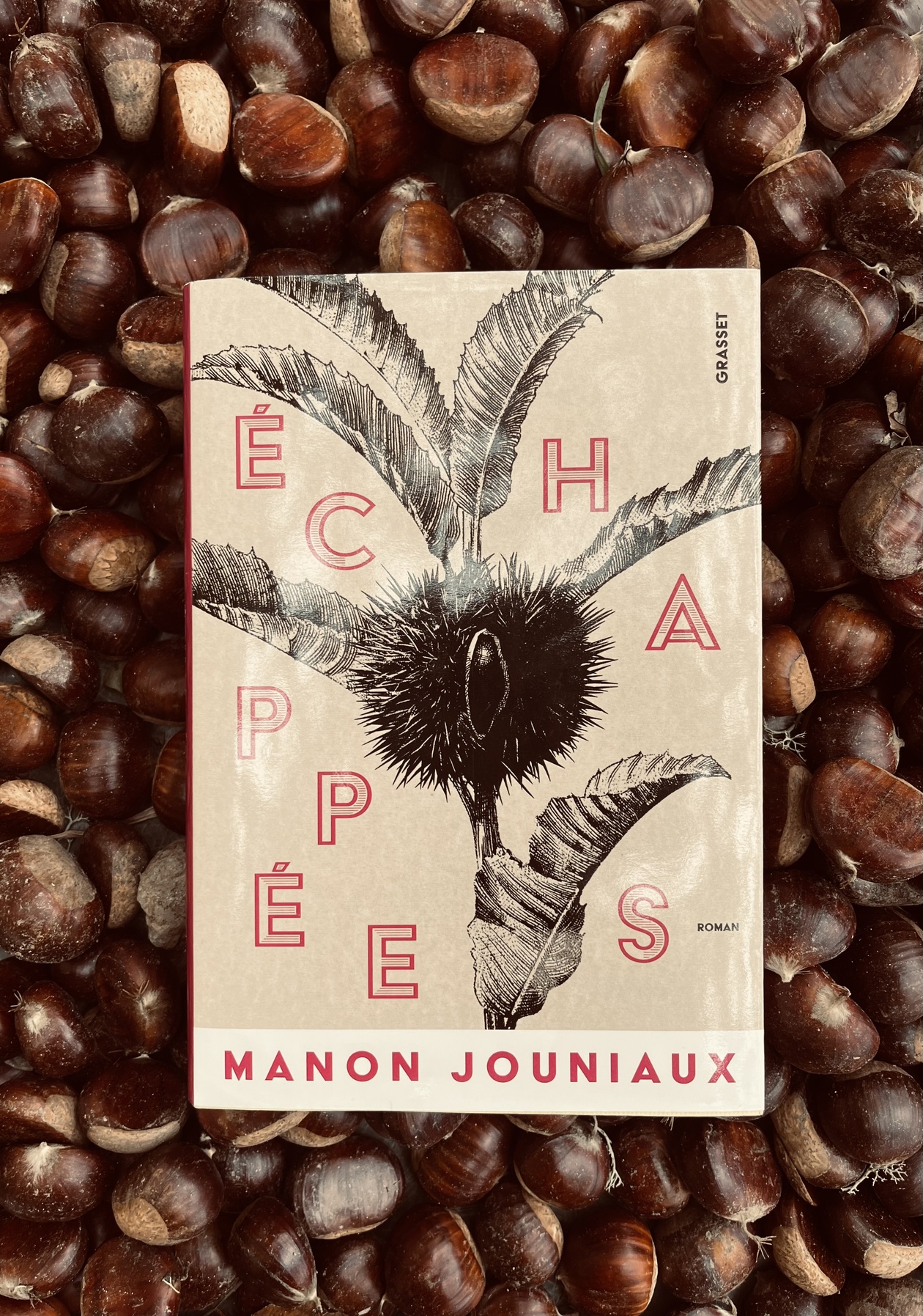 Littérature de la châtaigneraie Littérature de la châtaigneraie