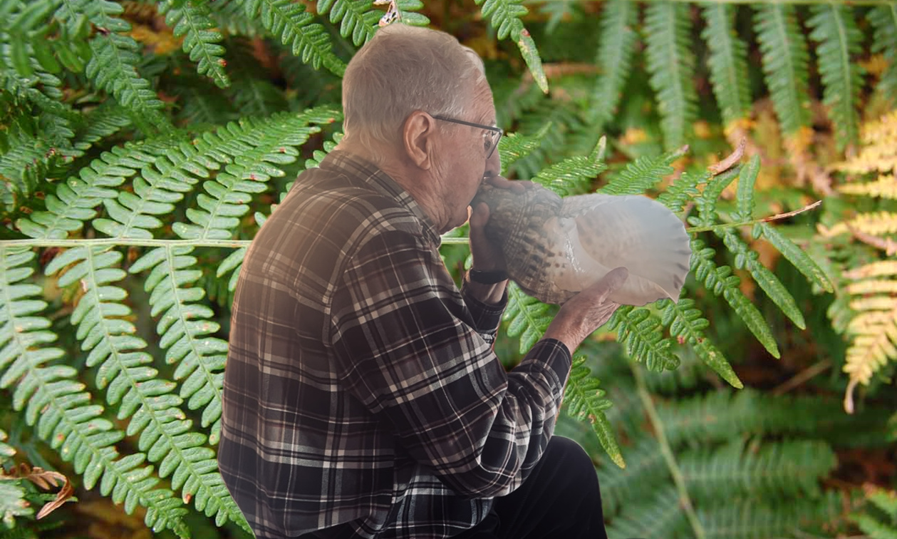 Dumenicantone Geronimi, portacultura Dumenicantone Geronimi, portacultura