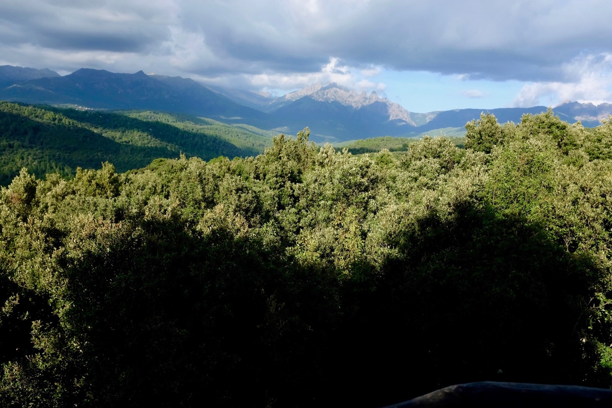 François Cardi François Cardi