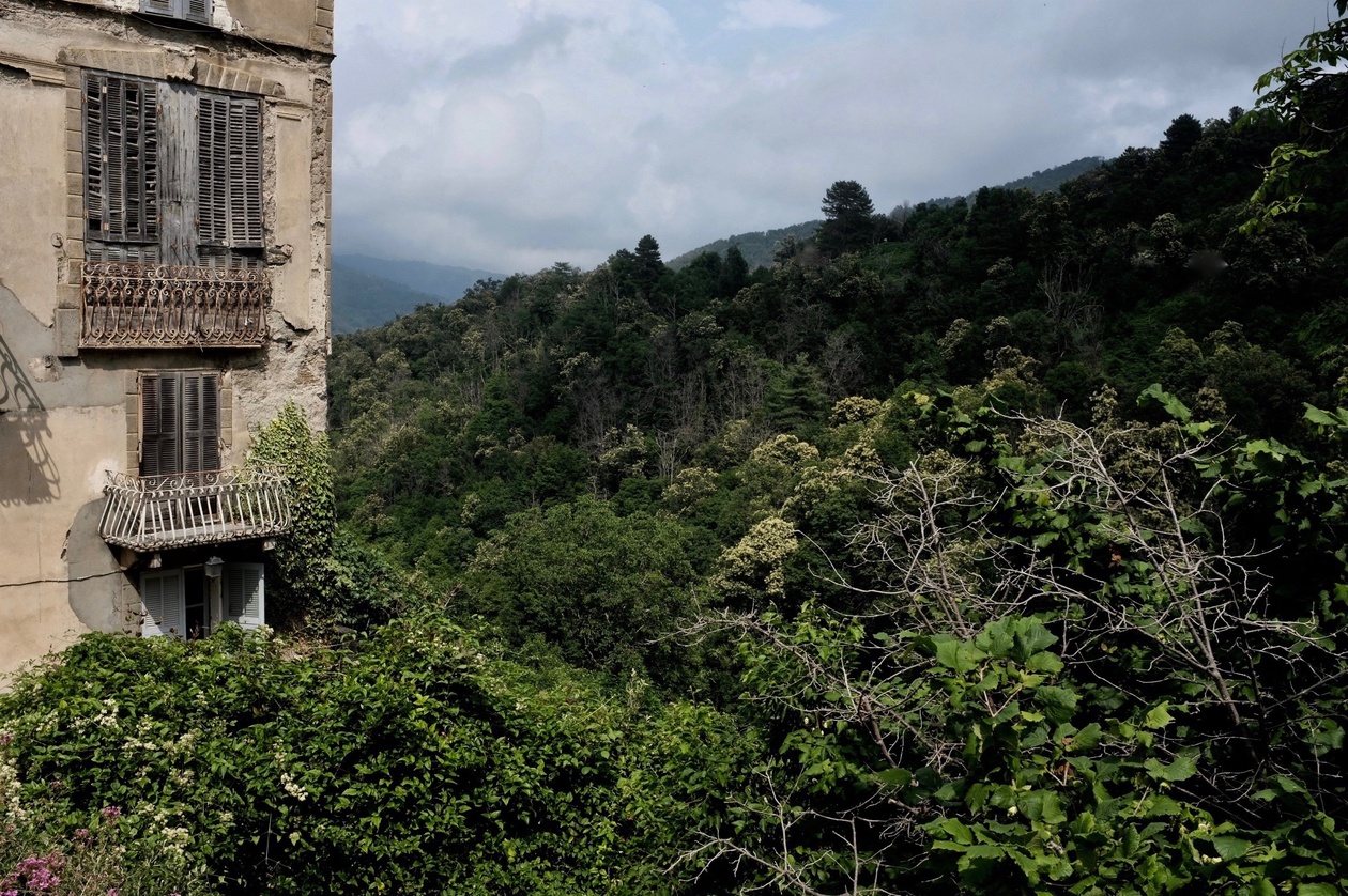 François Cardi François Cardi