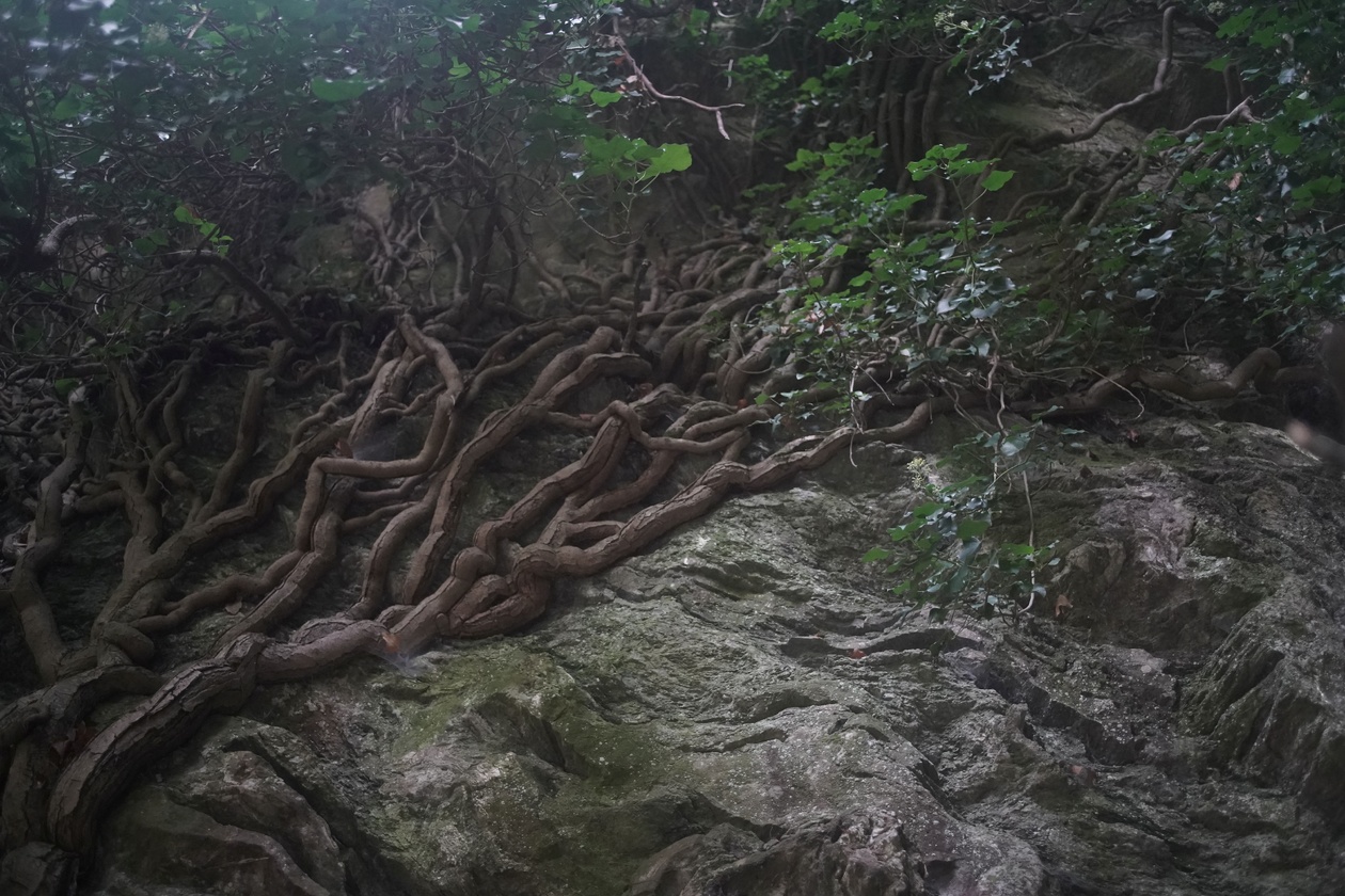 Mattea Riu Mattea Riu