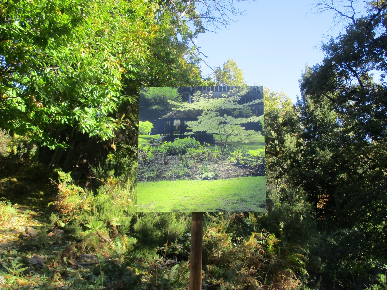 Photo Jean-Joseph Albertini d'une oeuvre de Julie Canarelli