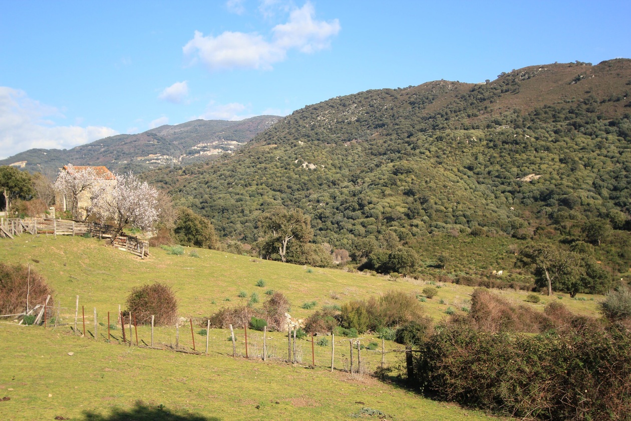 Atlas des paysages de Corse, plaine du Rizzanese Atlas des paysages de Corse, plaine du Rizzanese