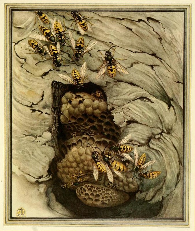 Fabre's Book of Insects (1921)