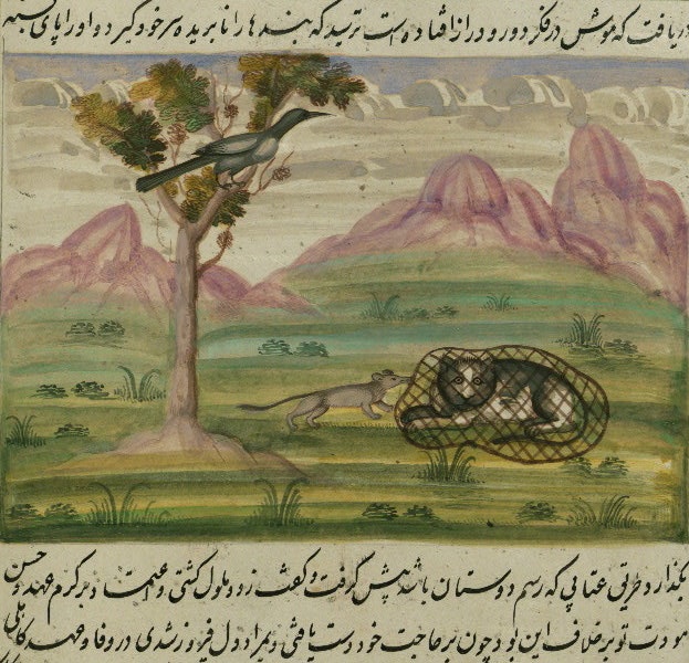 Illustrations from the Lights of Canopus (1847) Illustrations from the Lights of Canopus (1847)