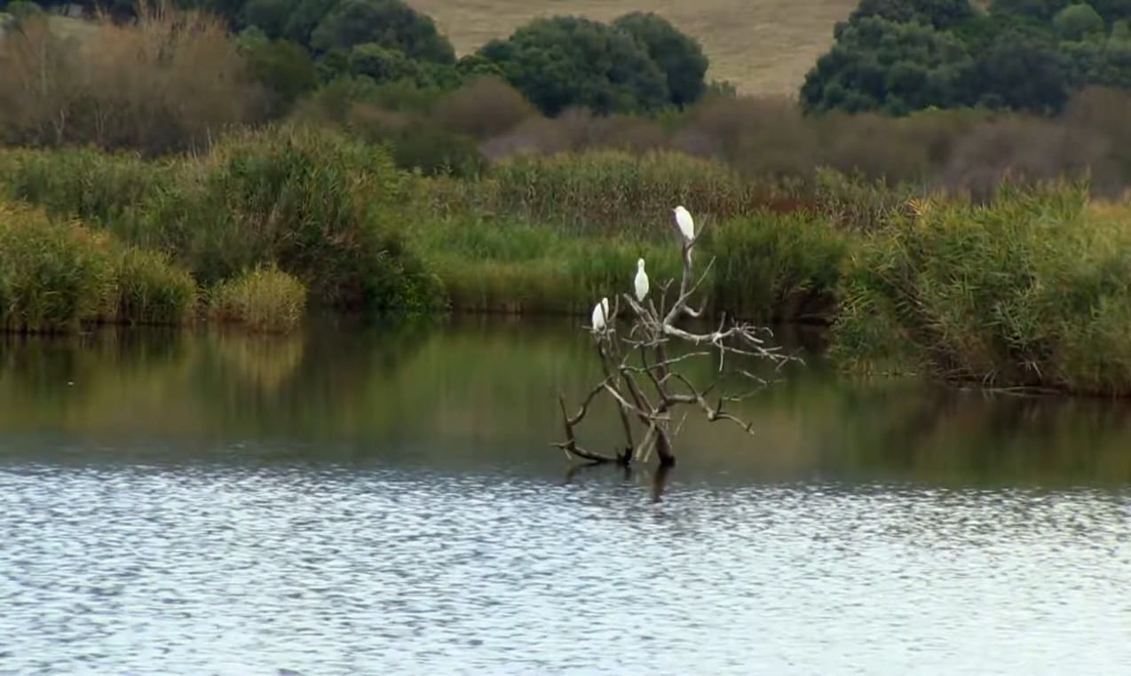 Photogramme de Quandu sciappani i tempi Photogramme de Quandu sciappani i tempi