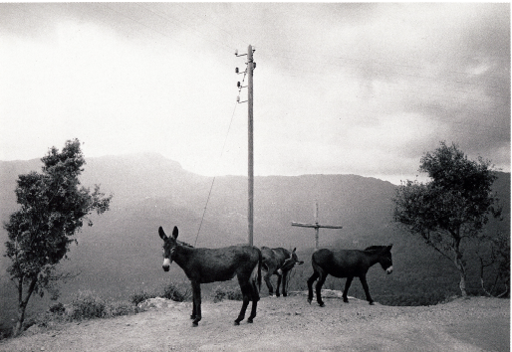 Chris Marker, La Corse, la renfermée Chris Marker, La Corse, la renfermée