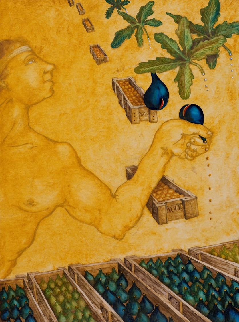 Fighi, Tonì Casalonga, 2013 Fighi, Tonì Casalonga, 2013