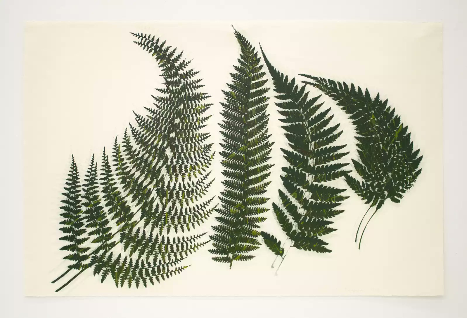 Philip Taaffe Philip Taaffe