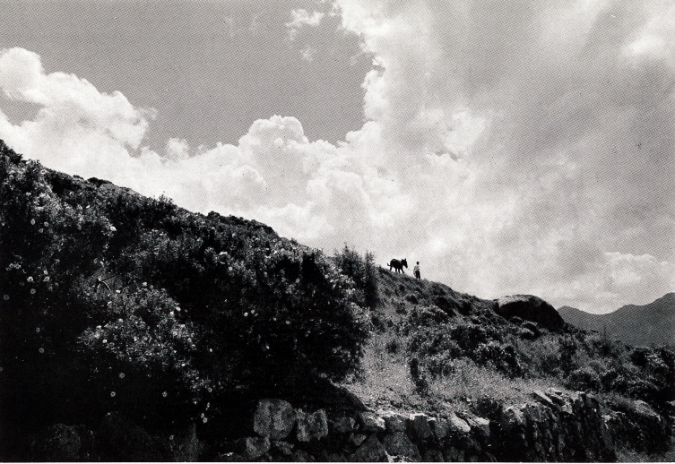 Chris Marker, in La renfermée, la Corse