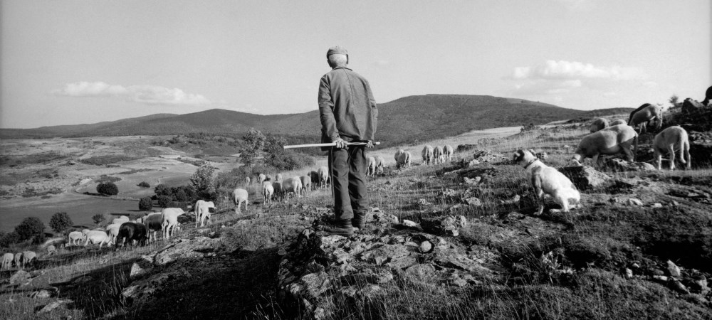 Raymond Depardon