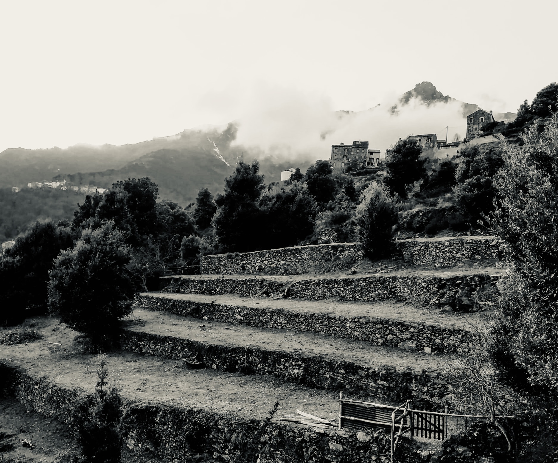 Orte di a Verdese Orte di a Verdese