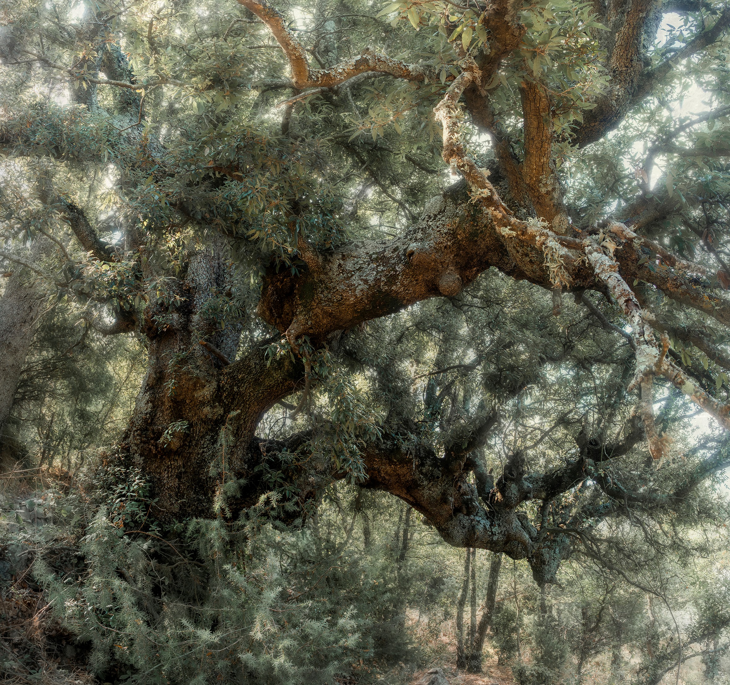 Photo Geneviève Michon Photo Geneviève Michon