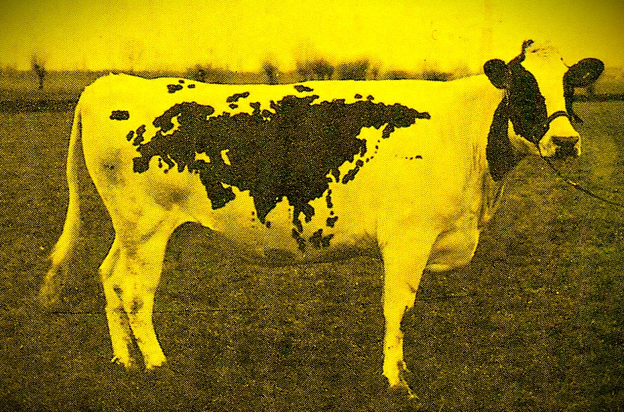 Claudio Parmiggiani, Tavola Zoogeografica, retouchée VBL Claudio Parmiggiani, Tavola Zoogeografica, retouchée VBL