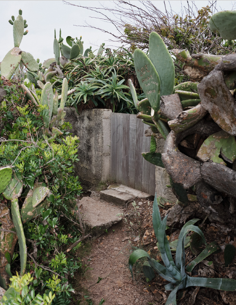 Sébastien Arrighi Sébastien Arrighi