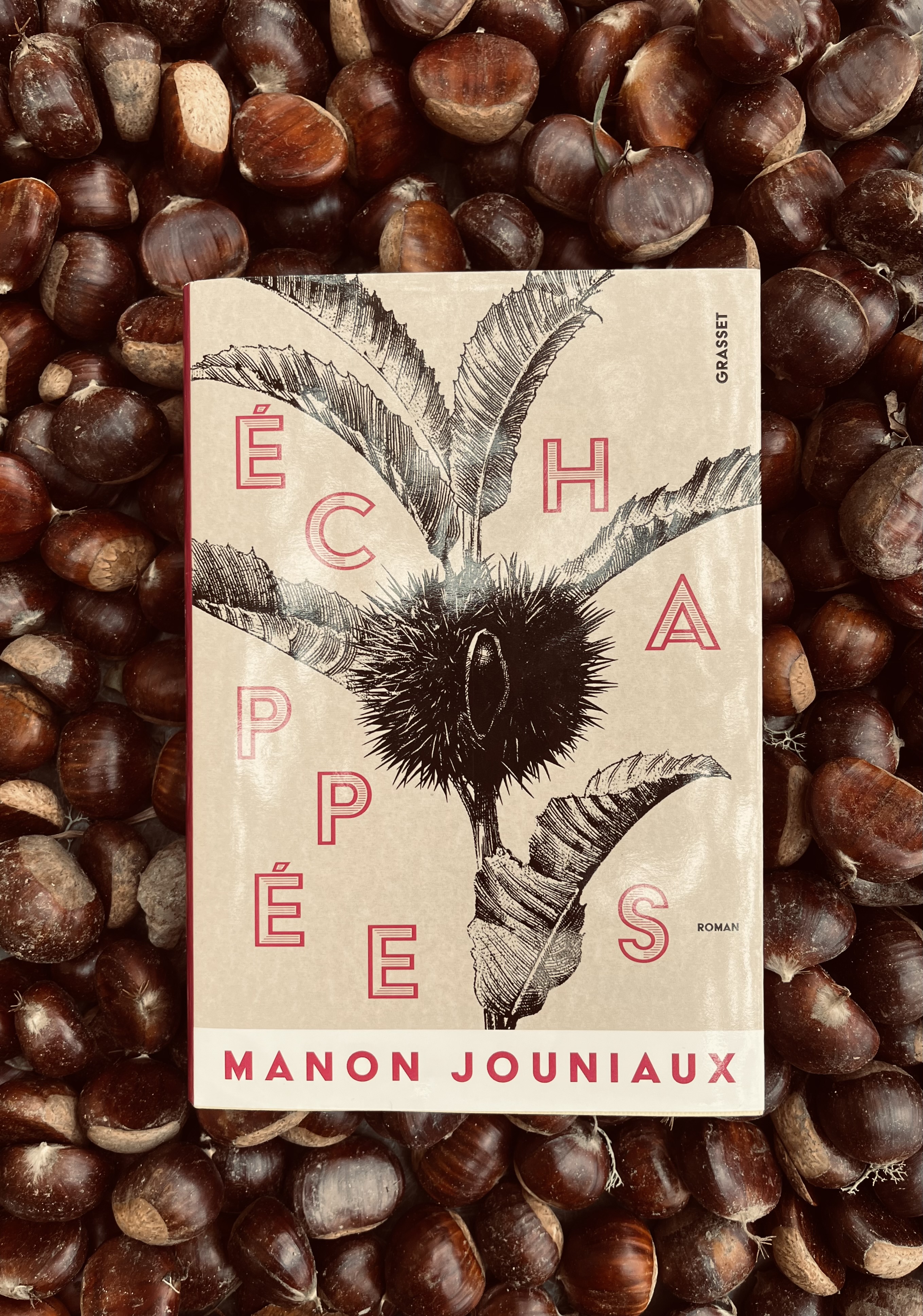 Littérature de la châtaigneraie Littérature de la châtaigneraie