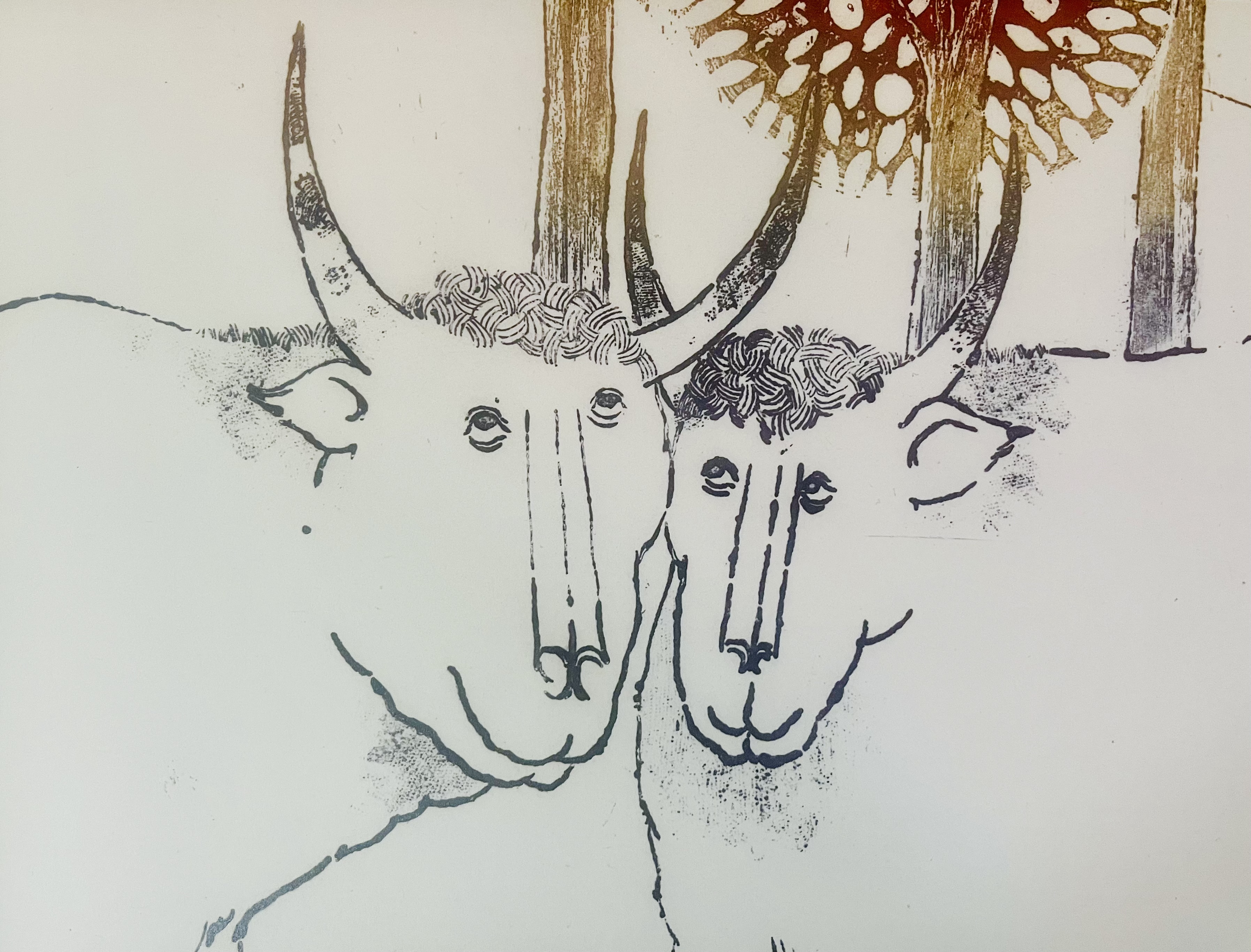 Tonì Casalonga, 1971 Tonì Casalonga, 1971