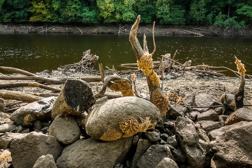 Bords de Creuse, Alain Villa
