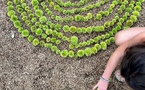 Circuler pour tenir : à l’écoute des territoires agropastoraux 