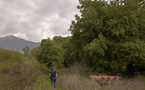 Un girettu in Baleone