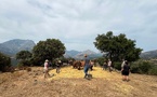 Granu d'avvene, tenir le feu vivant